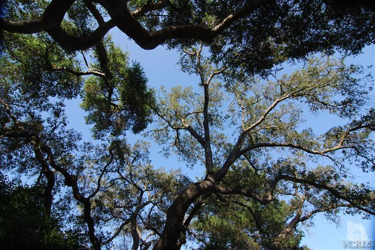 415 Del Norte Road Ojai, CA 93023 - Photo 20 of 27 Additional Photo