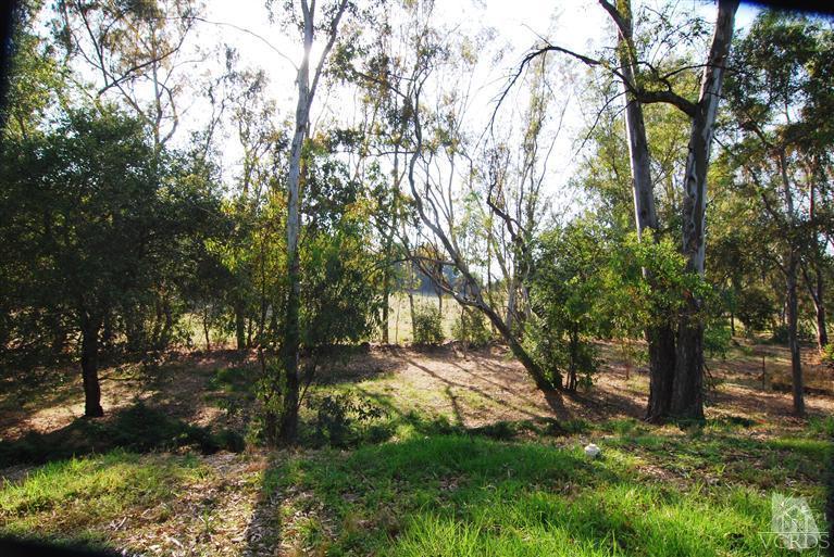 415 Del Norte Road Ojai, CA 93023 - Photo 6 of 27 Additional Photo