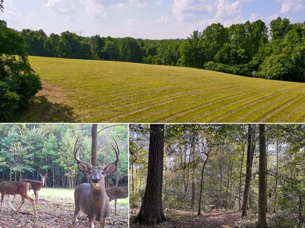 $65,000 | 0 Wolf Hill Road, Unit TRACT 5 WOLF HILL), McArthur, OH 45651