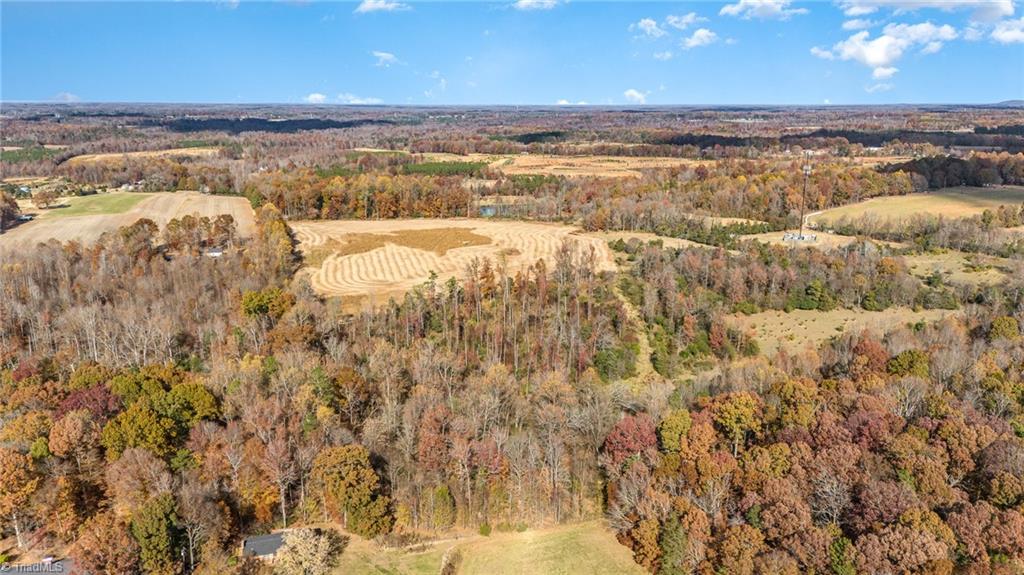 0 Starmount Road Liberty, NC 27298 - Photo 11 of 12