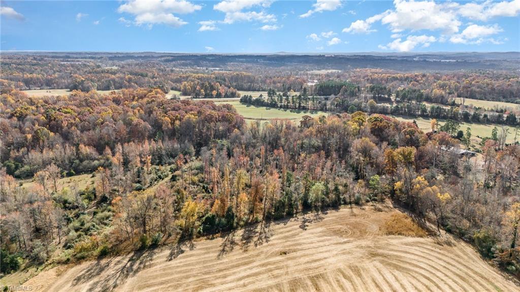 0 Starmount Road Liberty, NC 27298 - Photo 12 of 12