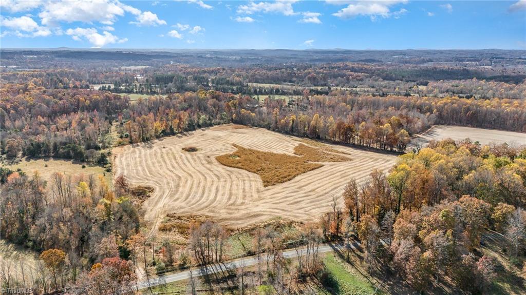 0 Starmount Road Liberty, NC 27298 - Photo 2 of 12