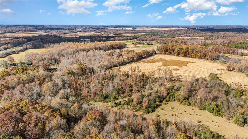 0 Starmount Road Liberty, NC 27298 - Photo 3 of 12