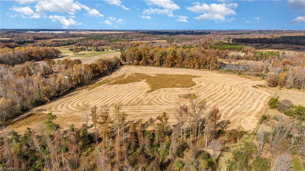 0 Starmount Road Liberty, NC 27298 - Photo 4 of 12