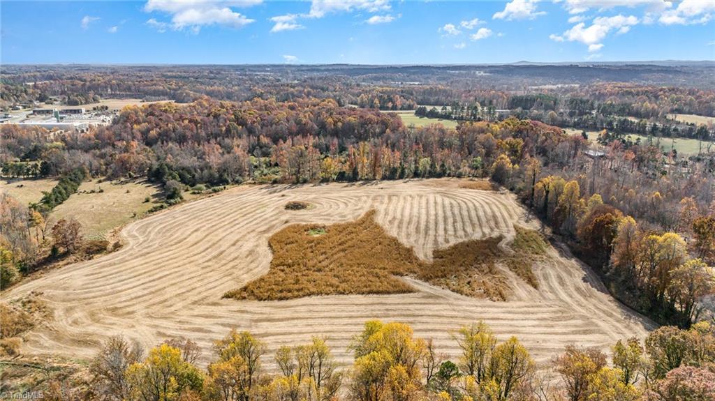 0 Starmount Road Liberty, NC 27298 - Photo 7 of 12