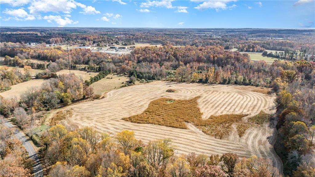 0 Starmount Road Liberty, NC 27298 - Photo 8 of 12