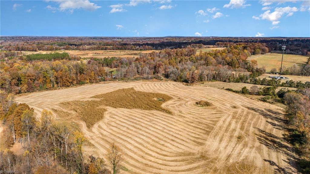 0 Starmount Road Liberty, NC 27298 - Photo 10 of 12