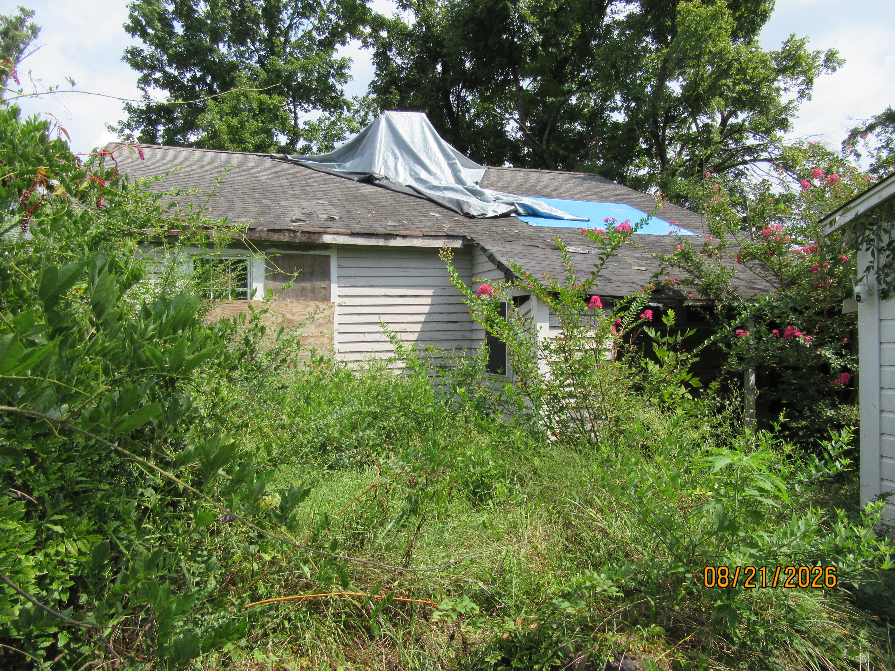 501 South Jackson Street Ripley, MS 38663 - Photo 17 of 20 Gallery Image 17