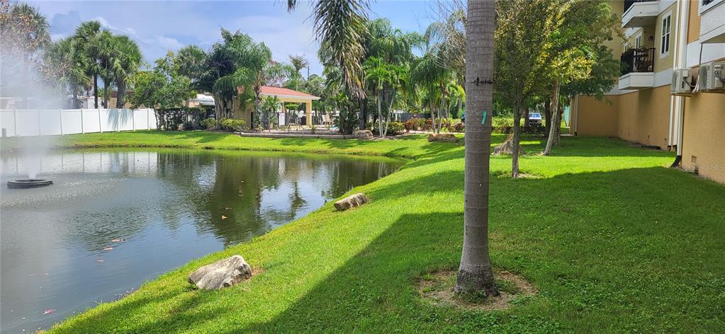 6394 Banyan Boulevard, Unit 204 New Port Richey, FL 34652 - Photo 17 of 25 a view of a lake with a garden and trees