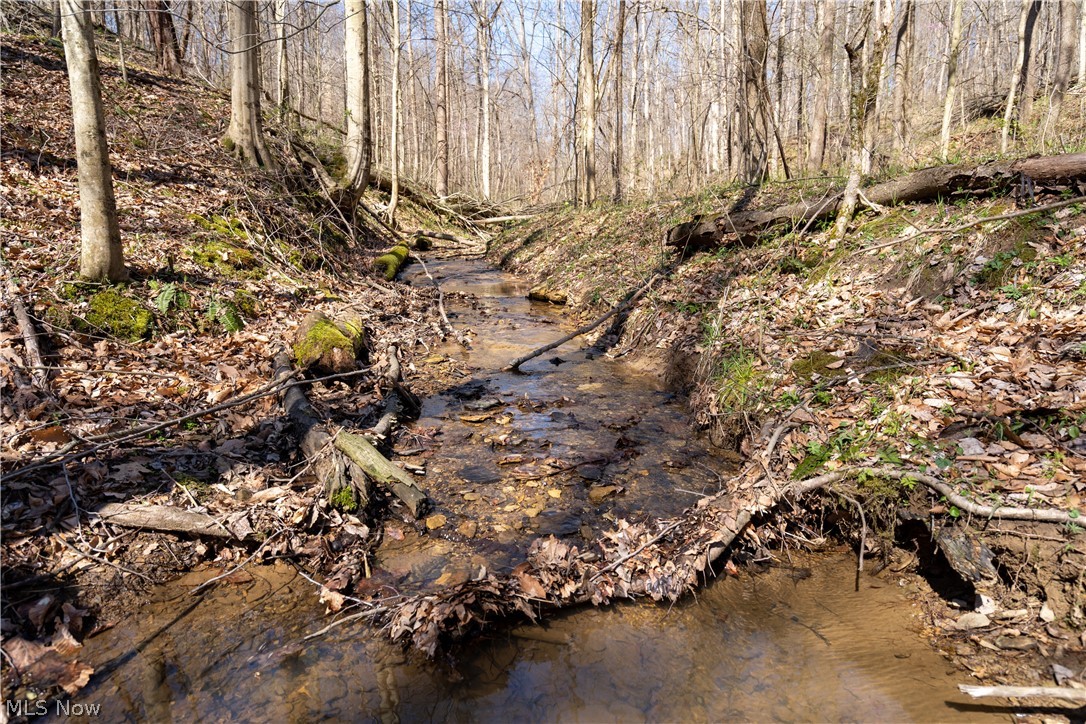 Sealover Hollow Rd Road Philo, OH 43771 - Photo 15 of 36