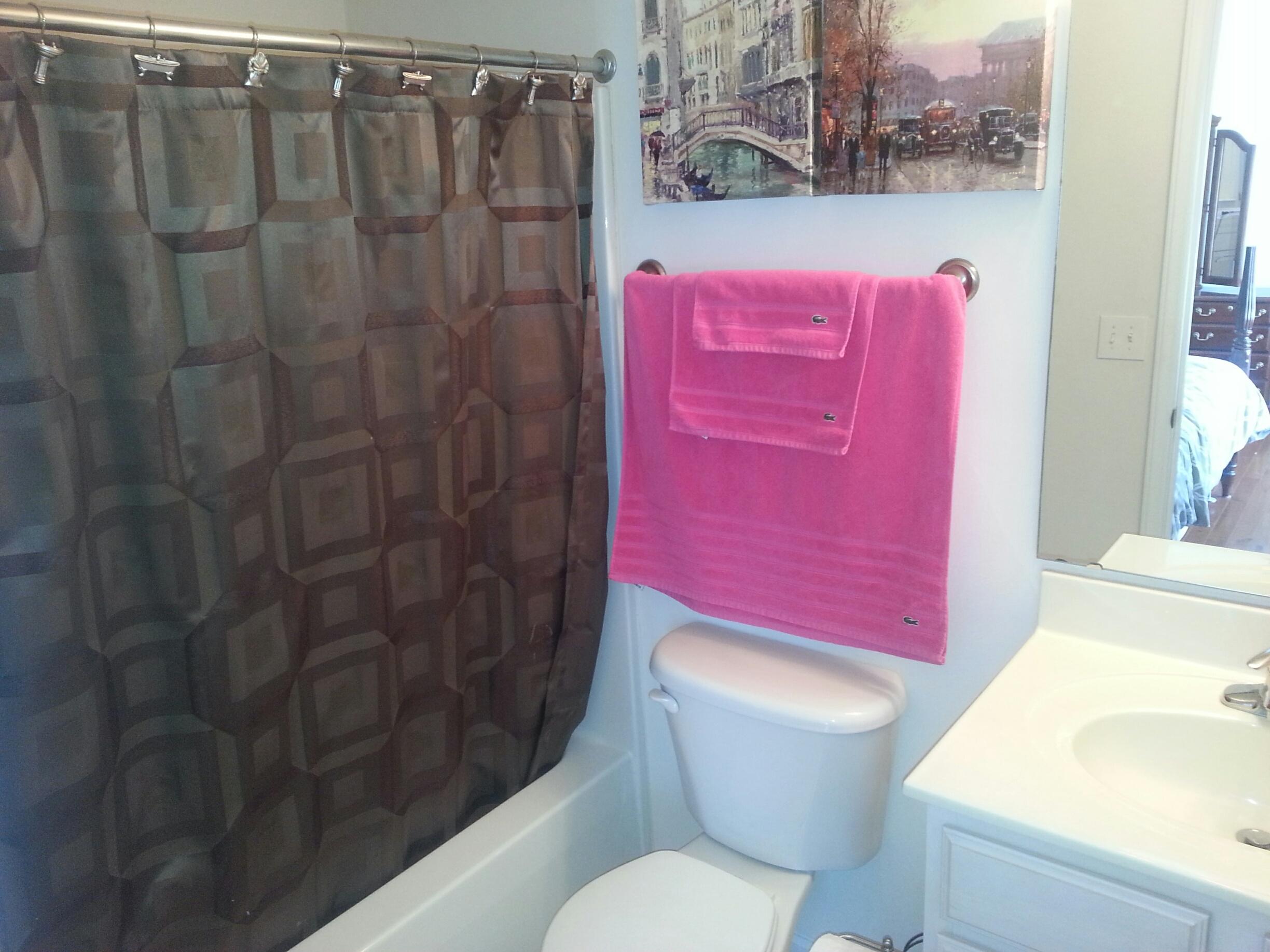 8704 Little Hoop Road Roanoke, VA 24019 - Photo 26 of 32 Master Bath 2