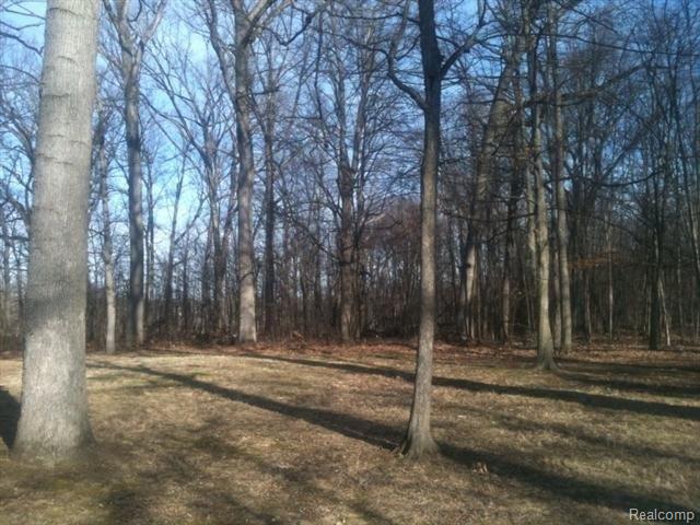 12285 Fairbanks Road Linden, MI 48451 - Photo 8 of 8 11.jpg