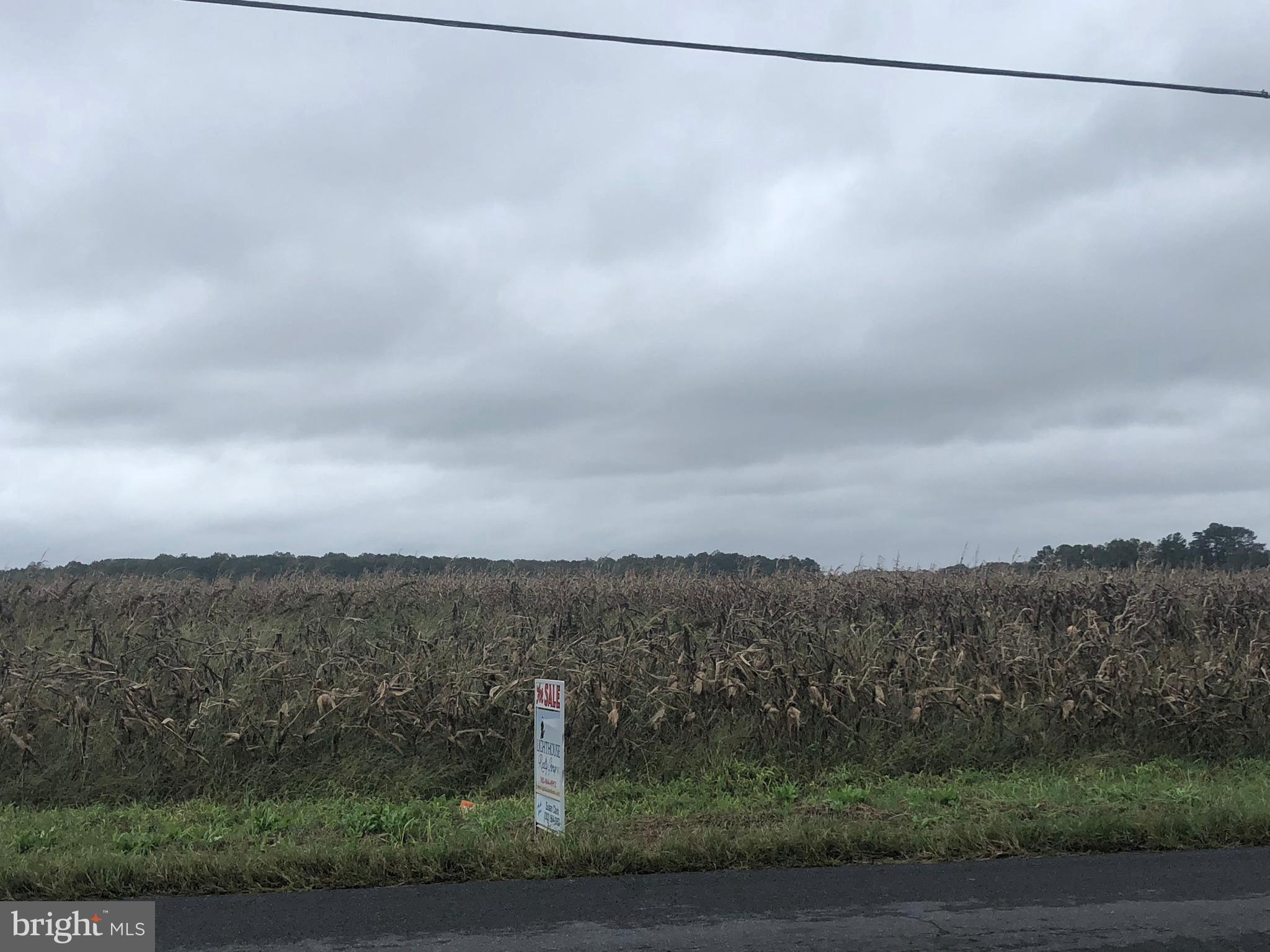 Picturesque rural setting, minutes to the beach!