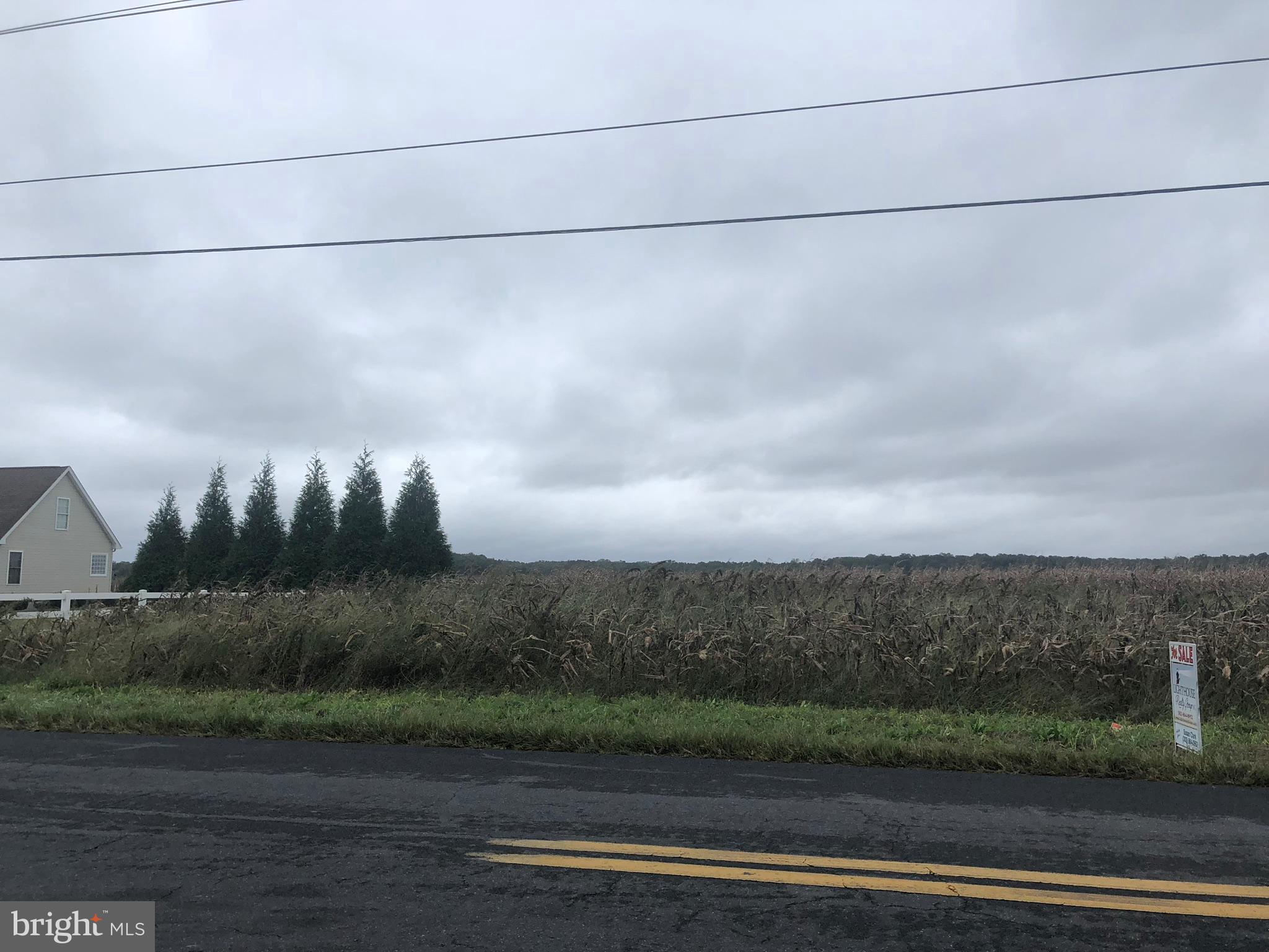 Surrounded by beautiful homes on both sides