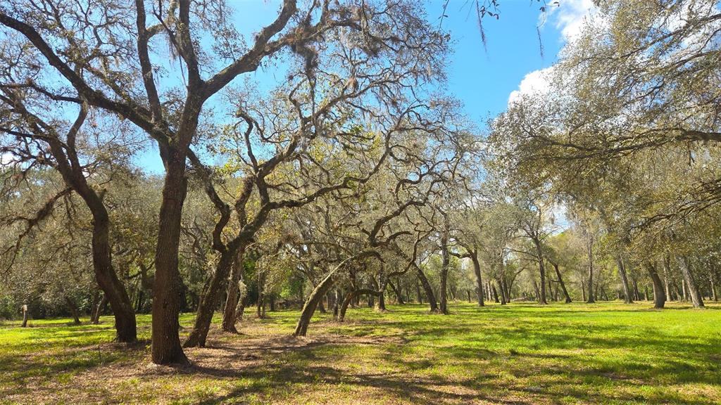 2140 St Johns River Road Astor, FL 32102 - Photo 12 of 13