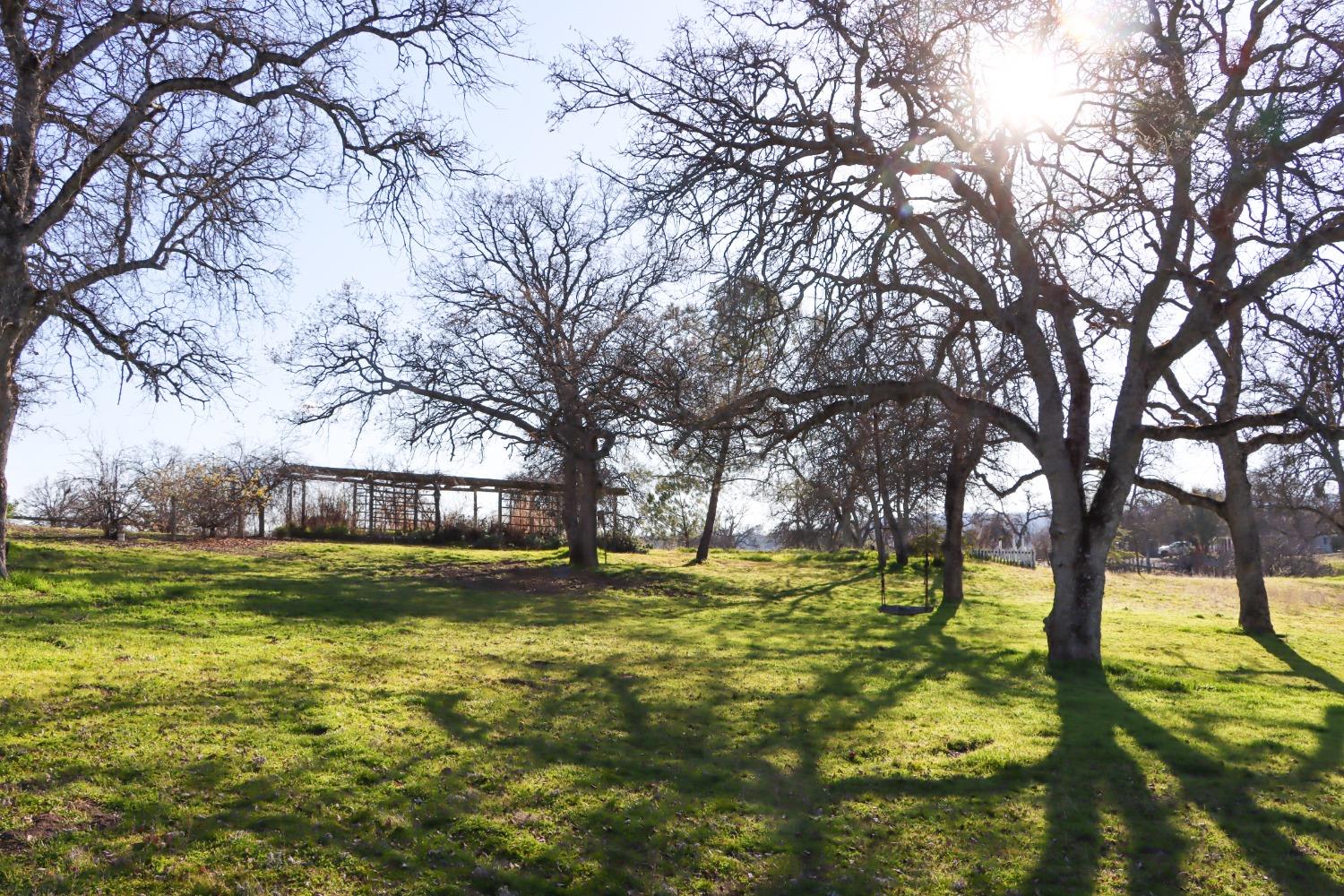 40817 Angus Road Coarsegold, CA 93614 - Photo 50 of 70 Grape arbor, oak trees