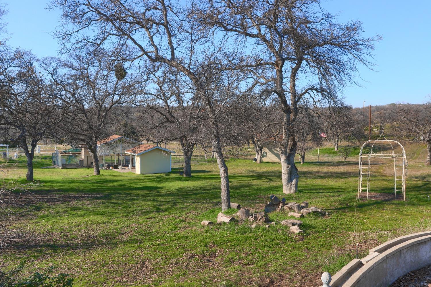 40817 Angus Road Coarsegold, CA 93614 - Photo 53 of 70 Gallery Image 53