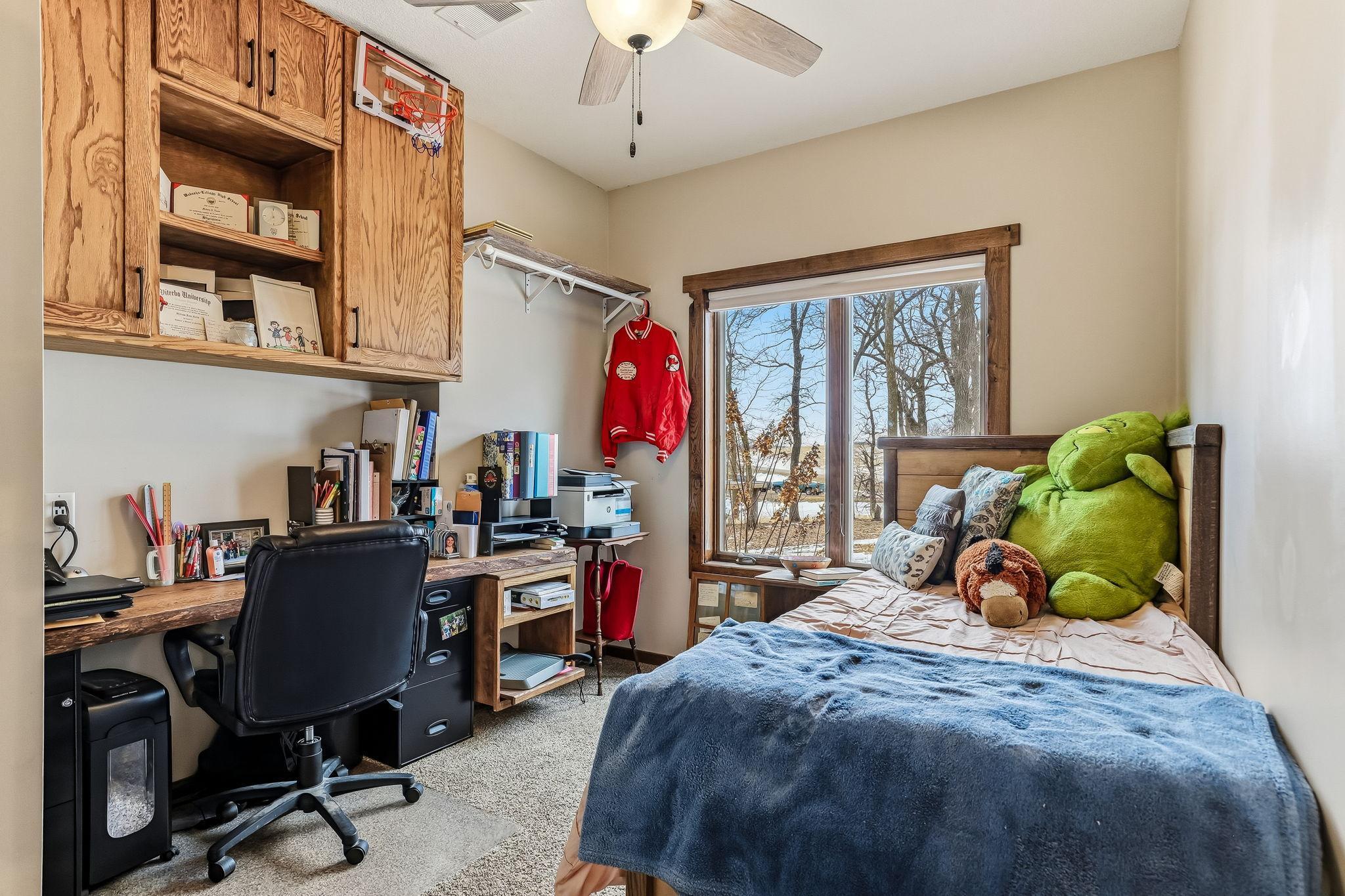 459 Kanne Cartway Waterville, MN 56096 - Photo 29 of 48