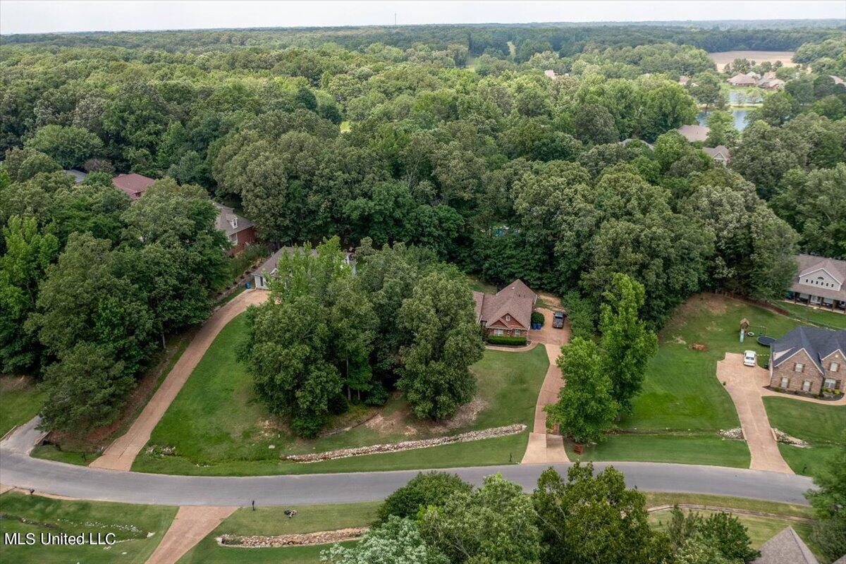 6268 Spring Crossing Olive Branch, MS 38654 - Photo 5 of 41 05-Lot