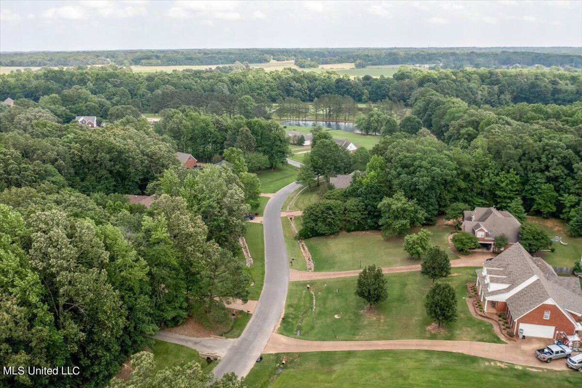 6268 Spring Crossing Olive Branch, MS 38654 - Photo 6 of 41 06-Neighborhood