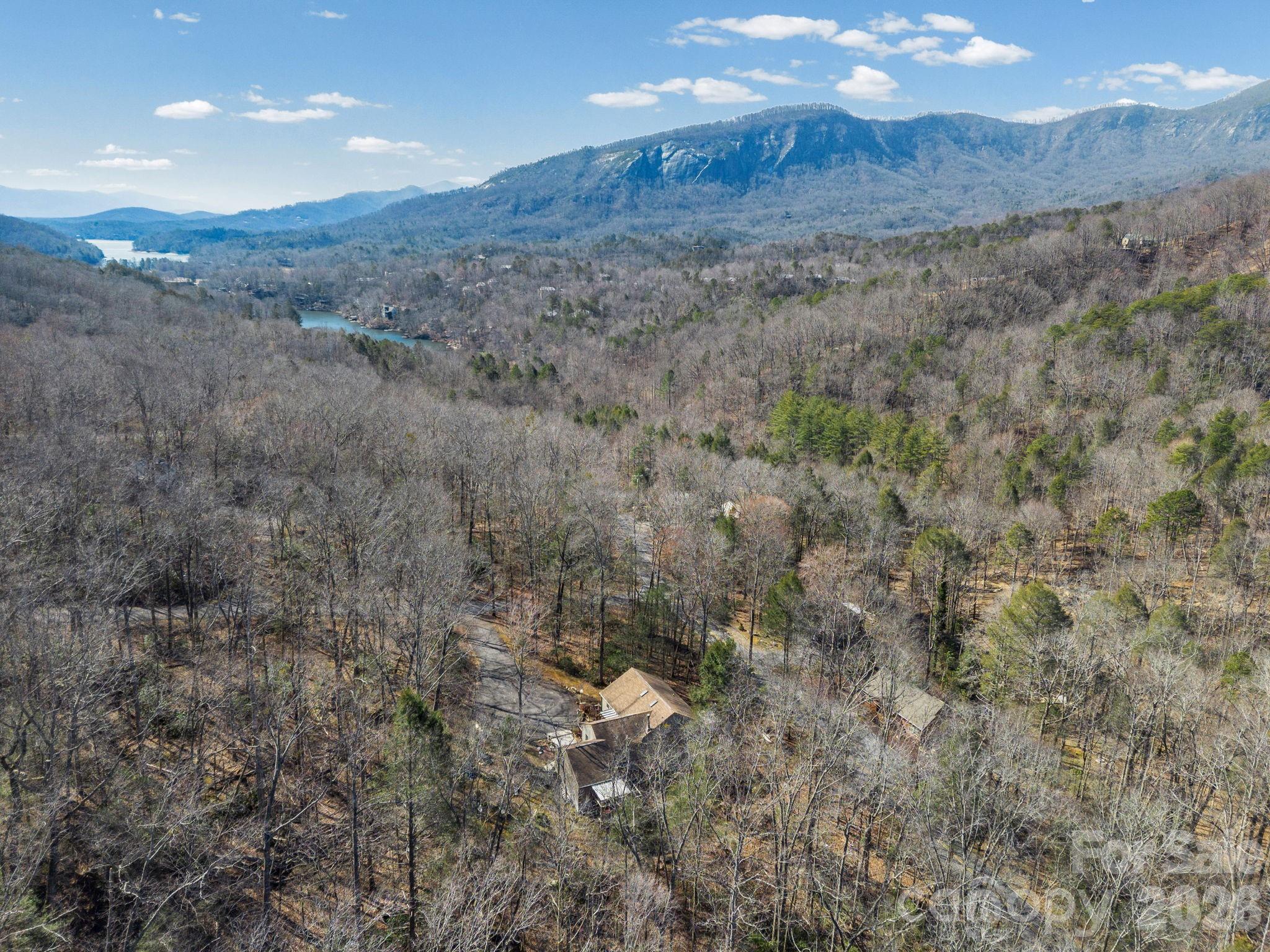 111 Buckeye Road Lake Lure, NC 28746 - Photo 3 of 48