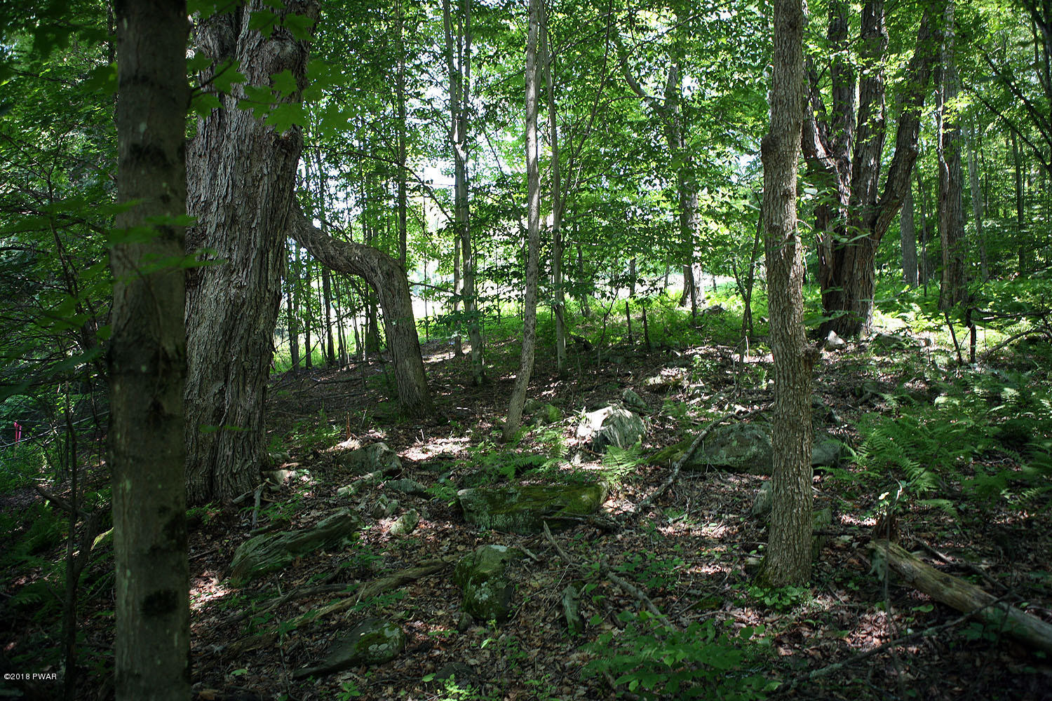 0 Callicoon Road Damascus, PA 18415 - Photo 14 of 20 07 02 18 136 - Copy