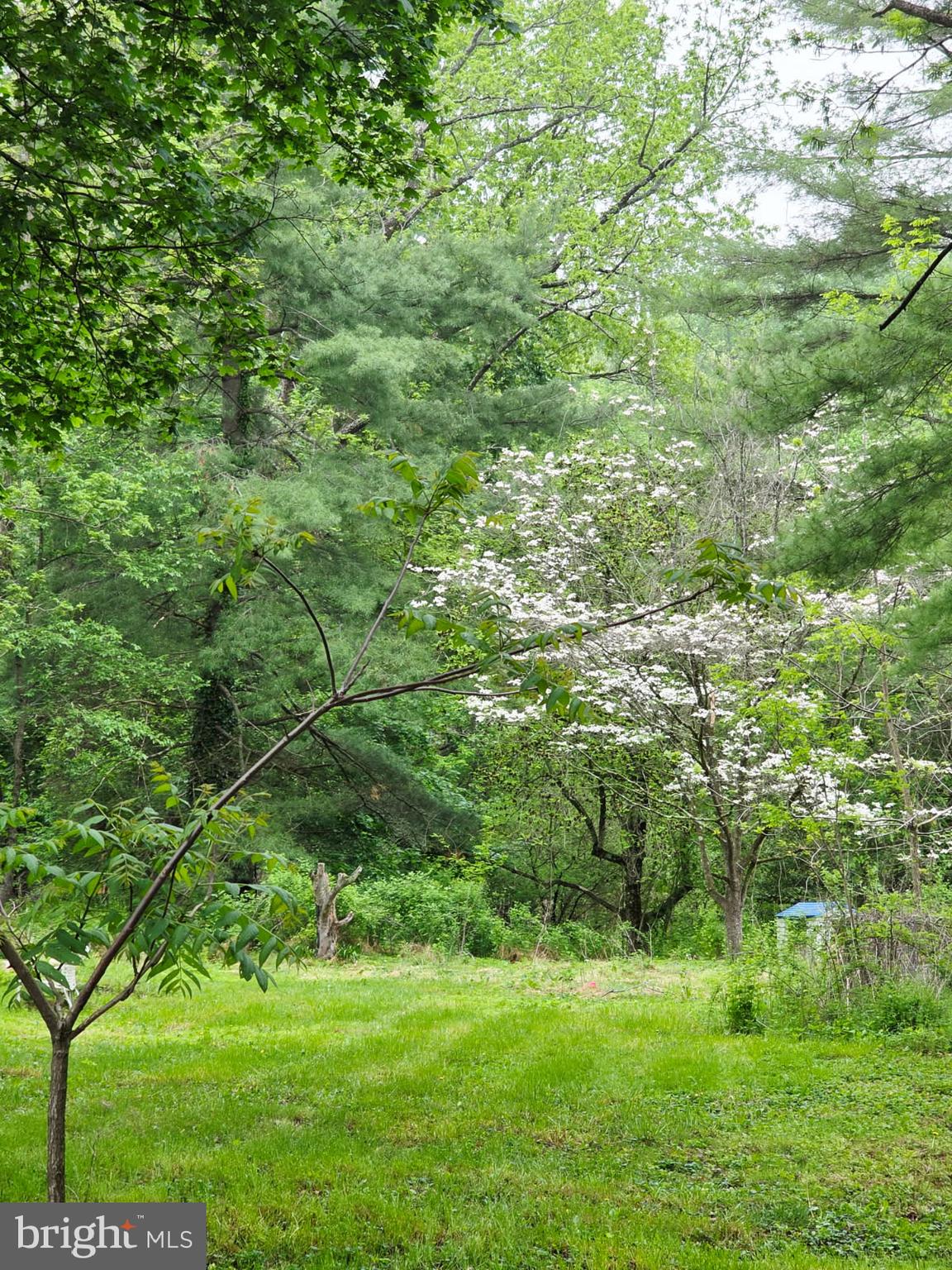 217 Main Street Delta, PA 17314 - Photo 14 of 16 a view of a lush green space