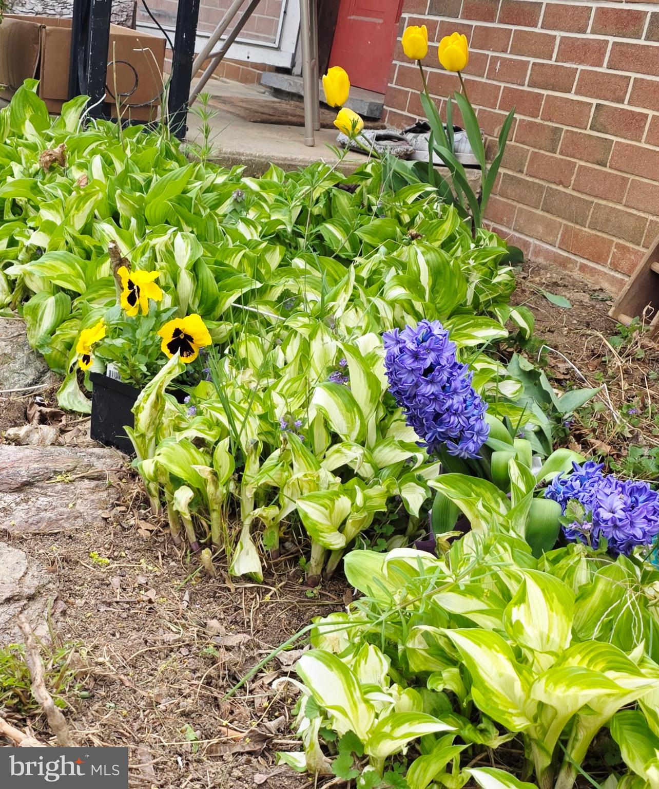 217 Main Street Delta, PA 17314 - Photo 8 of 16 a view of a flower