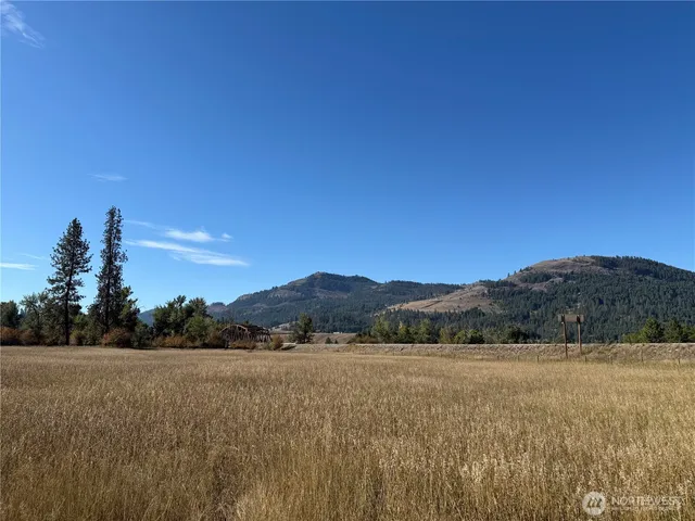 $349,000 | 0 Tbd Highway, Danville, WA 99121