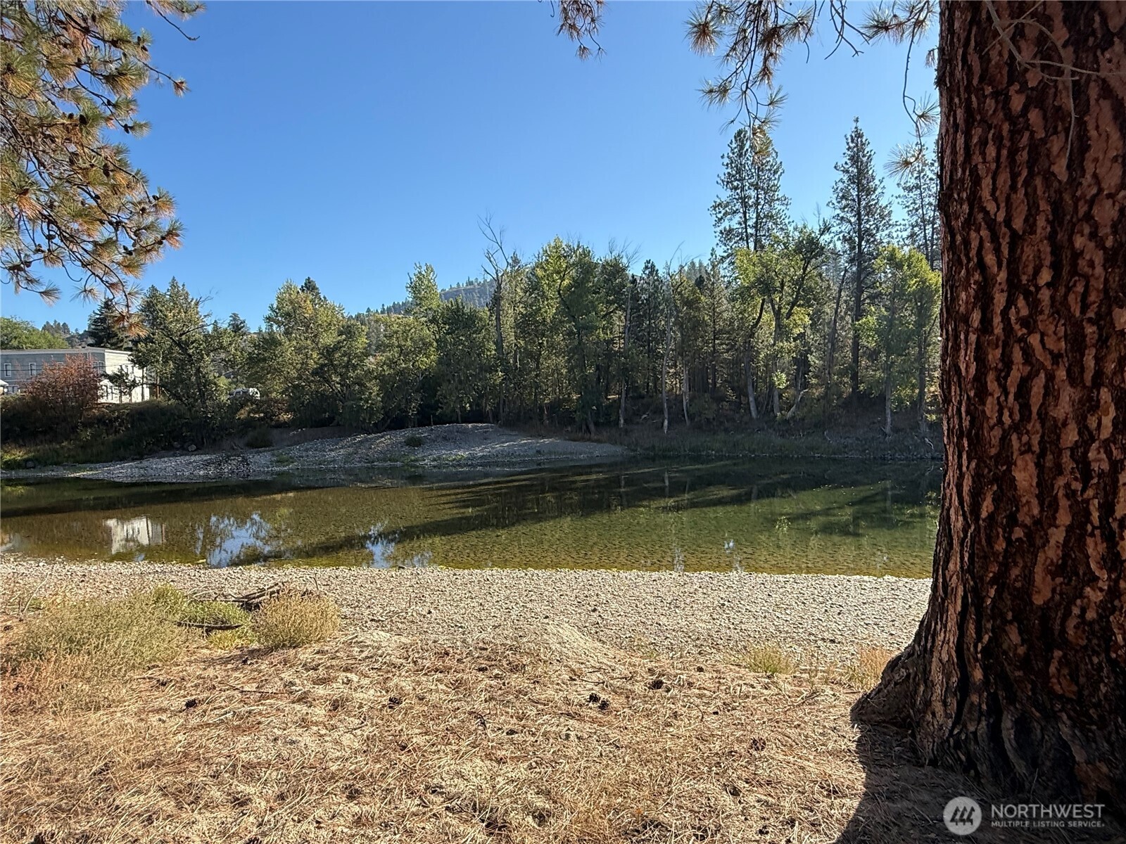 0 Tbd Highway Curlew, WA 99118 - Photo 7 of 19 a view of swimming pool with a yard