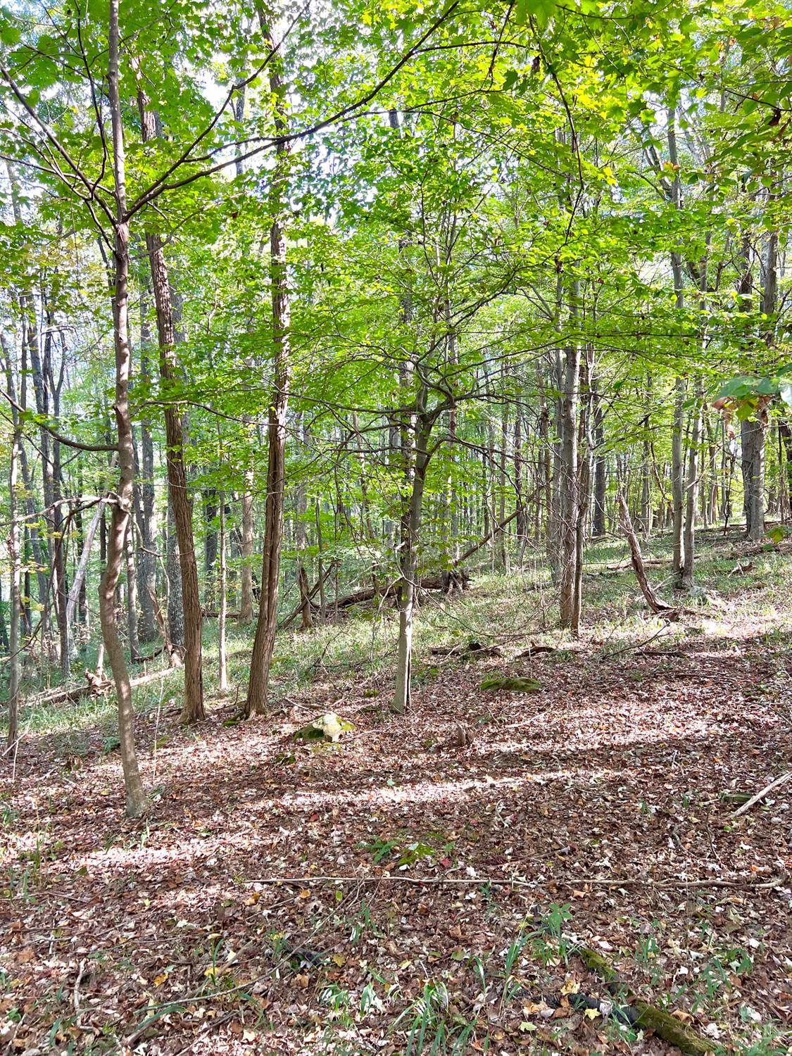 0 South Chenoweth Fork Road Piketon, OH 45661 - Photo 33 of 95