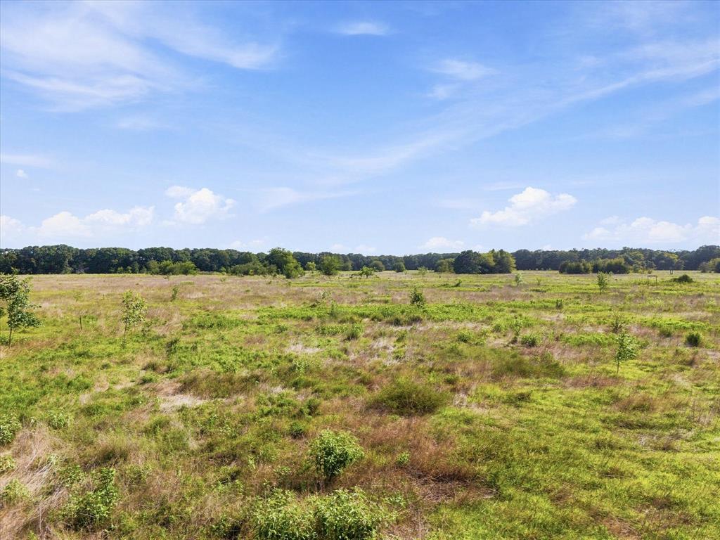3094 Fm Road Scurry, TX 75158 - Photo 8 of 24 Gallery Image 8
