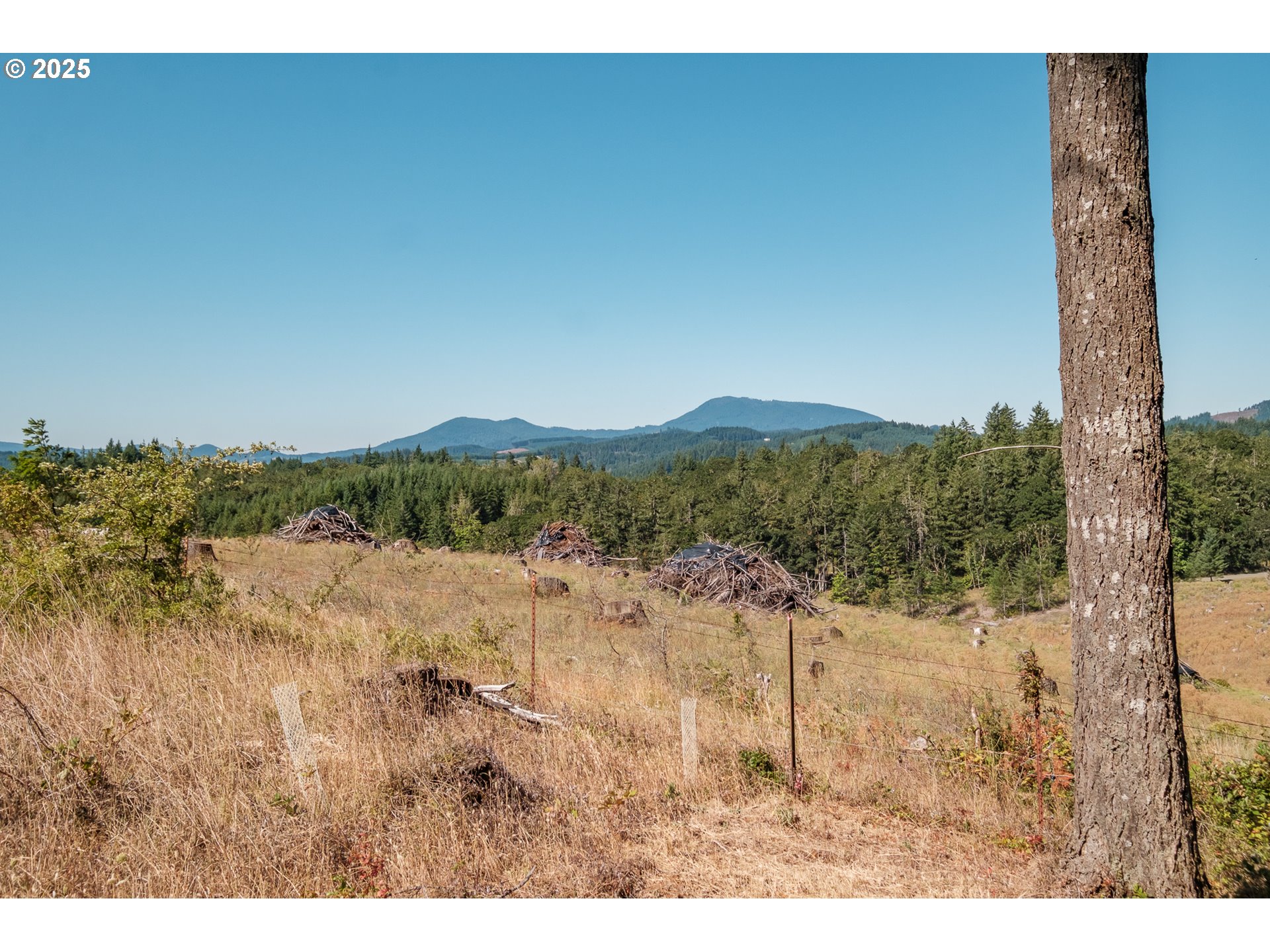 688 Wyatt Lane Philomath, OR 97370 - Photo 37 of 38