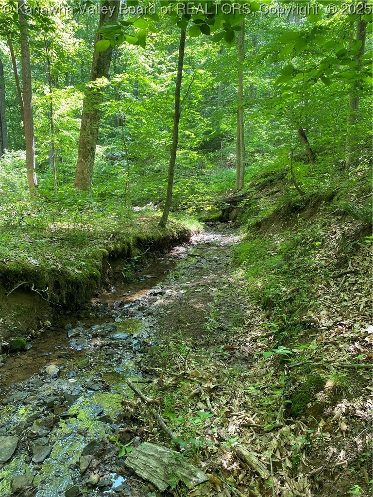 3145 Barker Ridge Road Milton, WV 25541 - Photo 40 of 46 Gallery Image 40