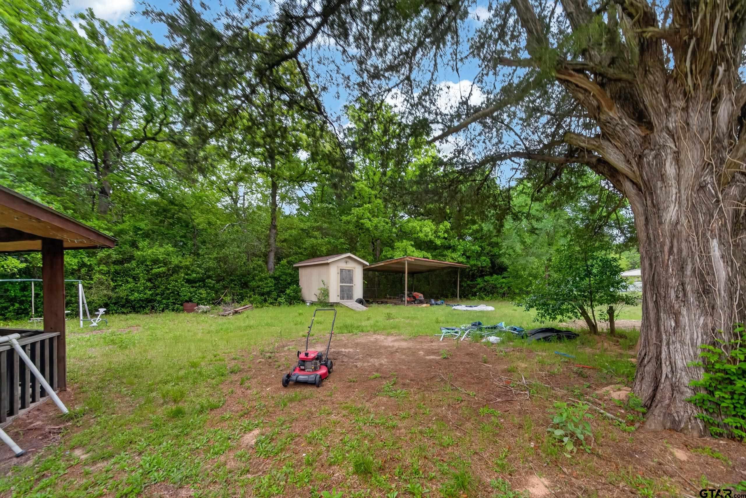 319 McArthur Street Athens, TX 75751 - Photo 30 of 33 a view of a house with backyard