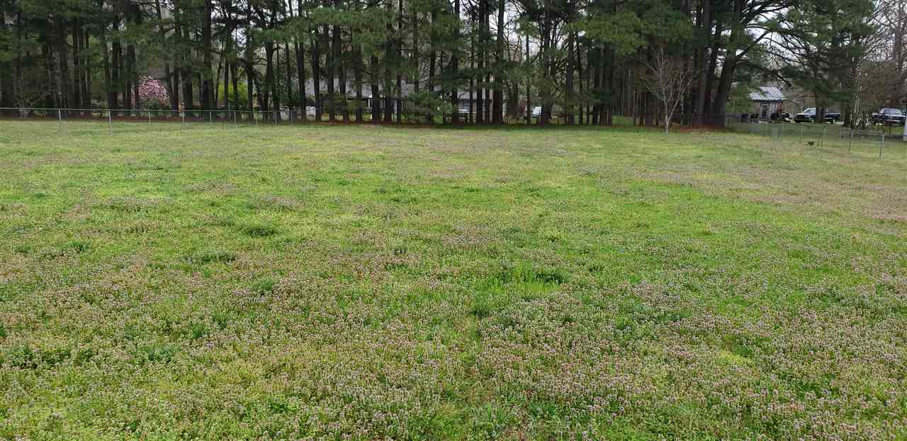 170 Hicks Road Oakland, TN 38060 - Photo 4 of 18 Gallery Image 4