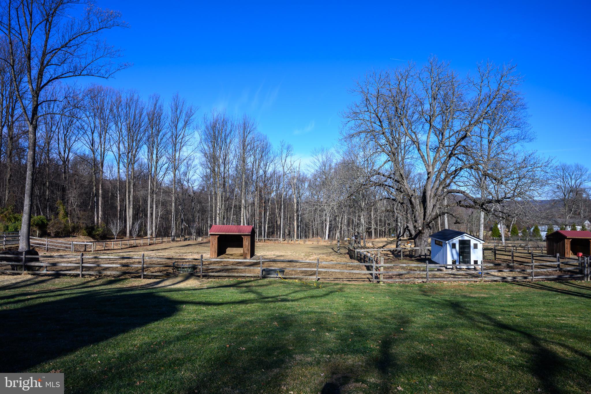 201 Pine Swamp Road Elverson, PA 19520 - Photo 52 of 60 Paddock