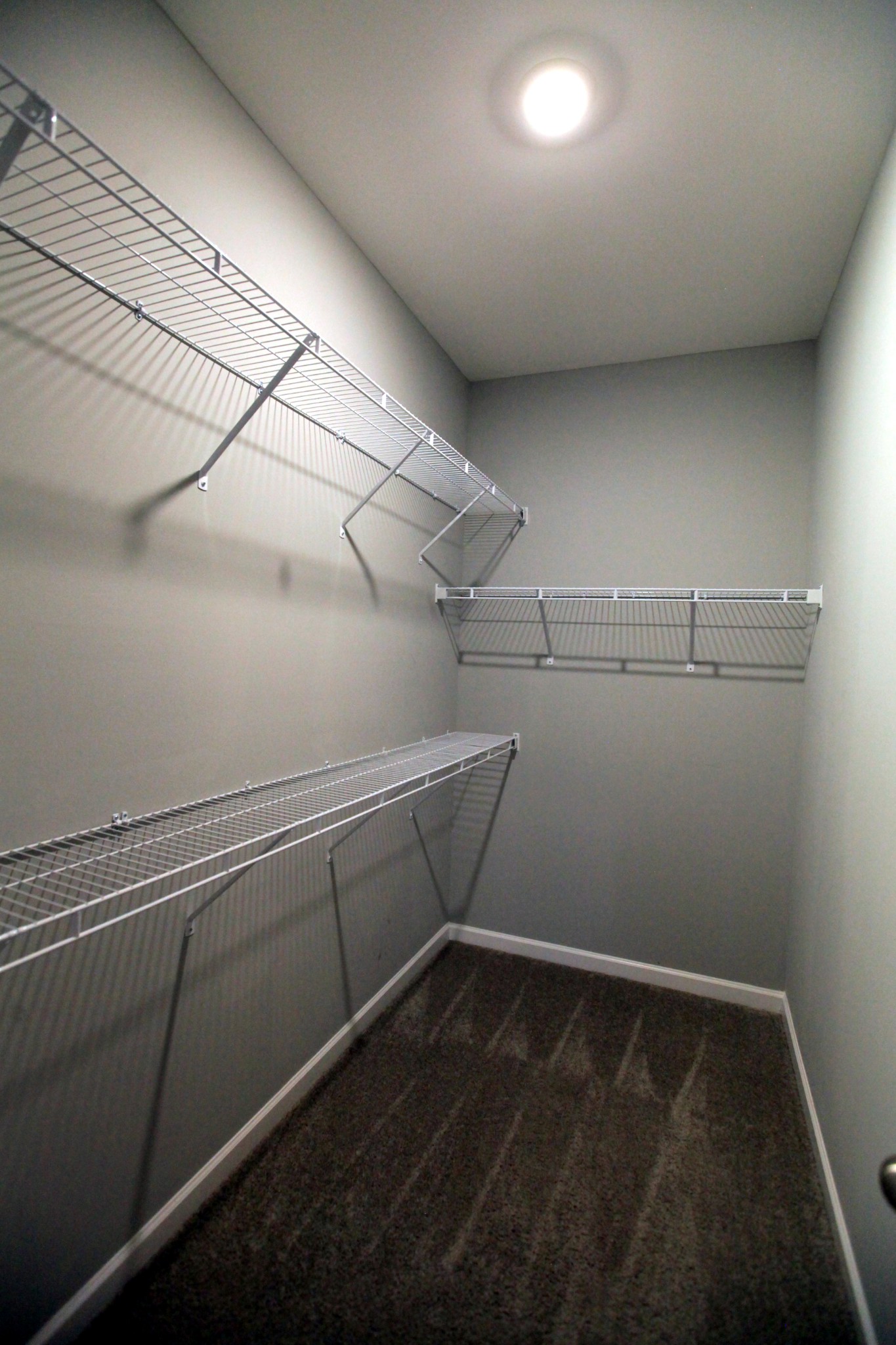 3718 Black Powder Lane Rockvale, TN 37153 - Photo 15 of 31 a view of storage and utility room with racks on the wall