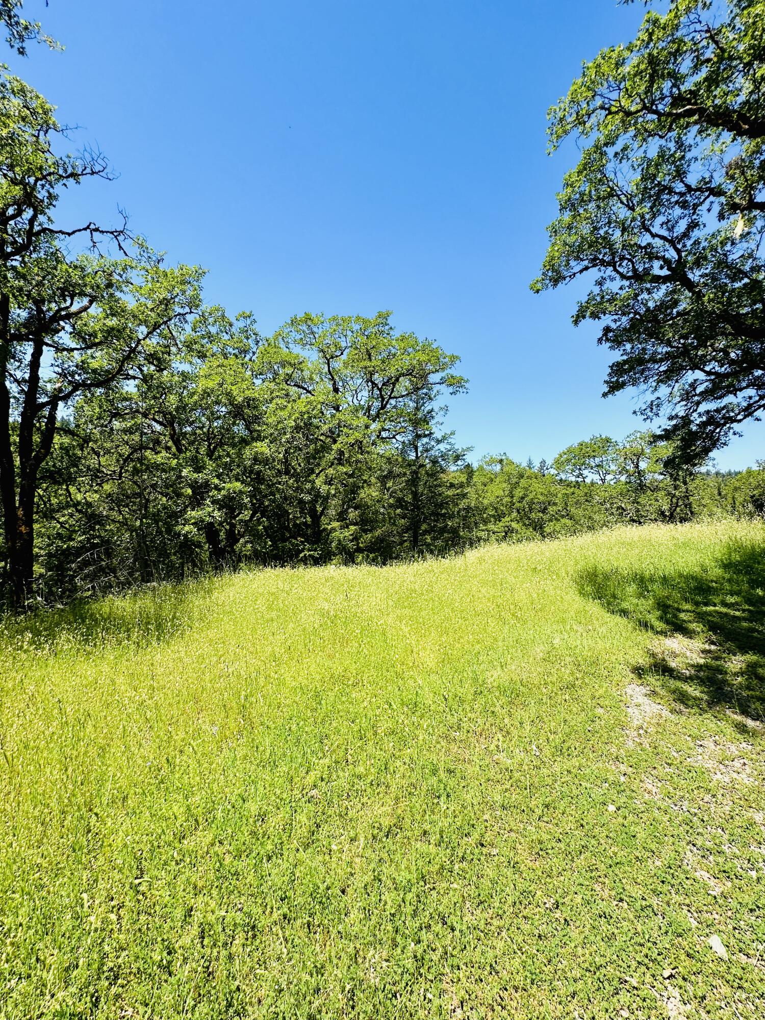 400 Seely Creek Road Redway, CA 95560 - Photo 4 of 73