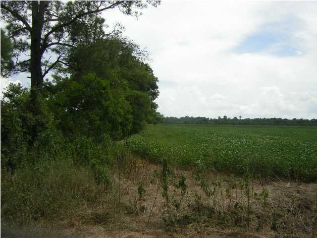 Cousins Rd Ville Ville Platte, LA 70586 - Photo 1 of 9 Primary Photo