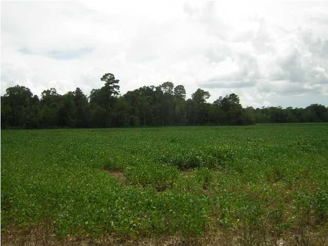 Cousins Rd Ville Ville Platte, LA 70586 - Photo 9 of 9 Additional Photo