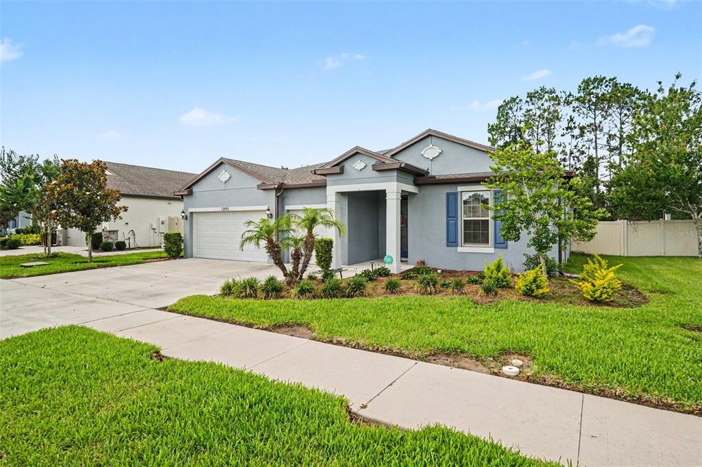 12593 Palapa Loop Spring Hill, FL 34610 - Photo 3 of 32
