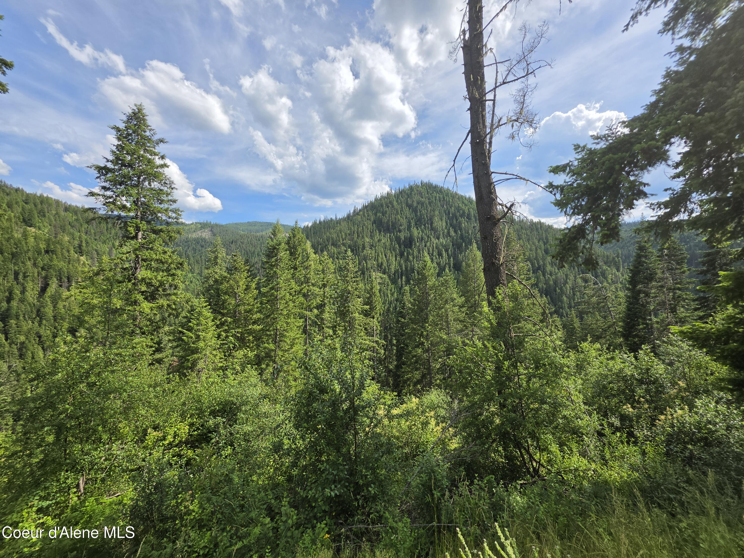 480 Dunn Peak Road Avery, ID 83802 - Photo 53 of 66 6347