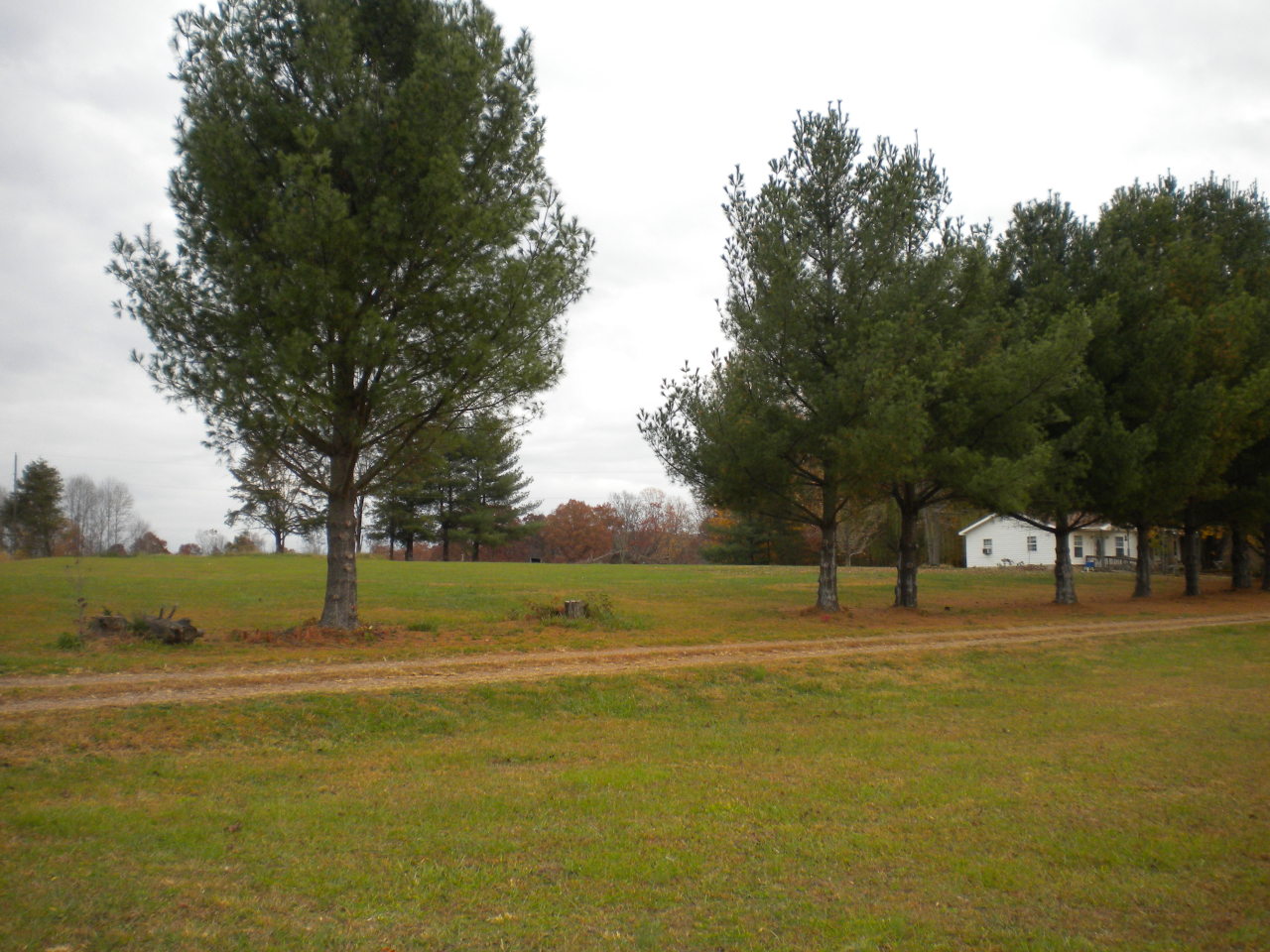 2284 Virginia Nc Road Spencer, VA 24165 - Photo 4 of 9 a view of an ocean with a park
