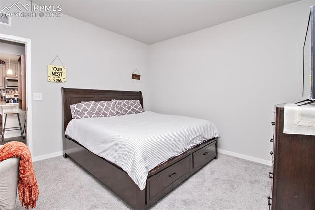 9570 Timberlake Loop Colorado Springs, CO 80927 - Photo 25 of 36 Main bedroom