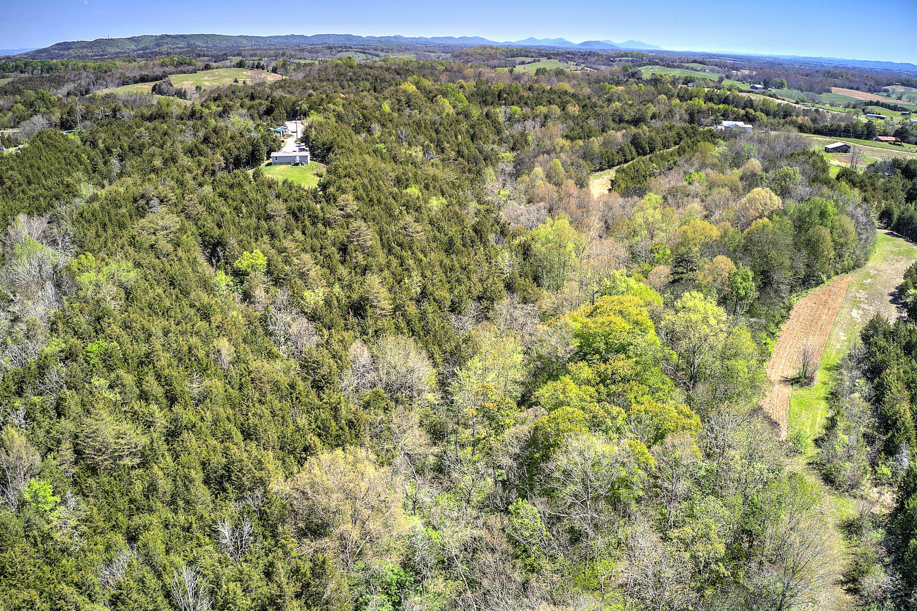 Lot 1 Blue Springs Road, Unit 1 Mohawk, TN 37810 - Photo 15 of 21 Blue Springs Rd-14