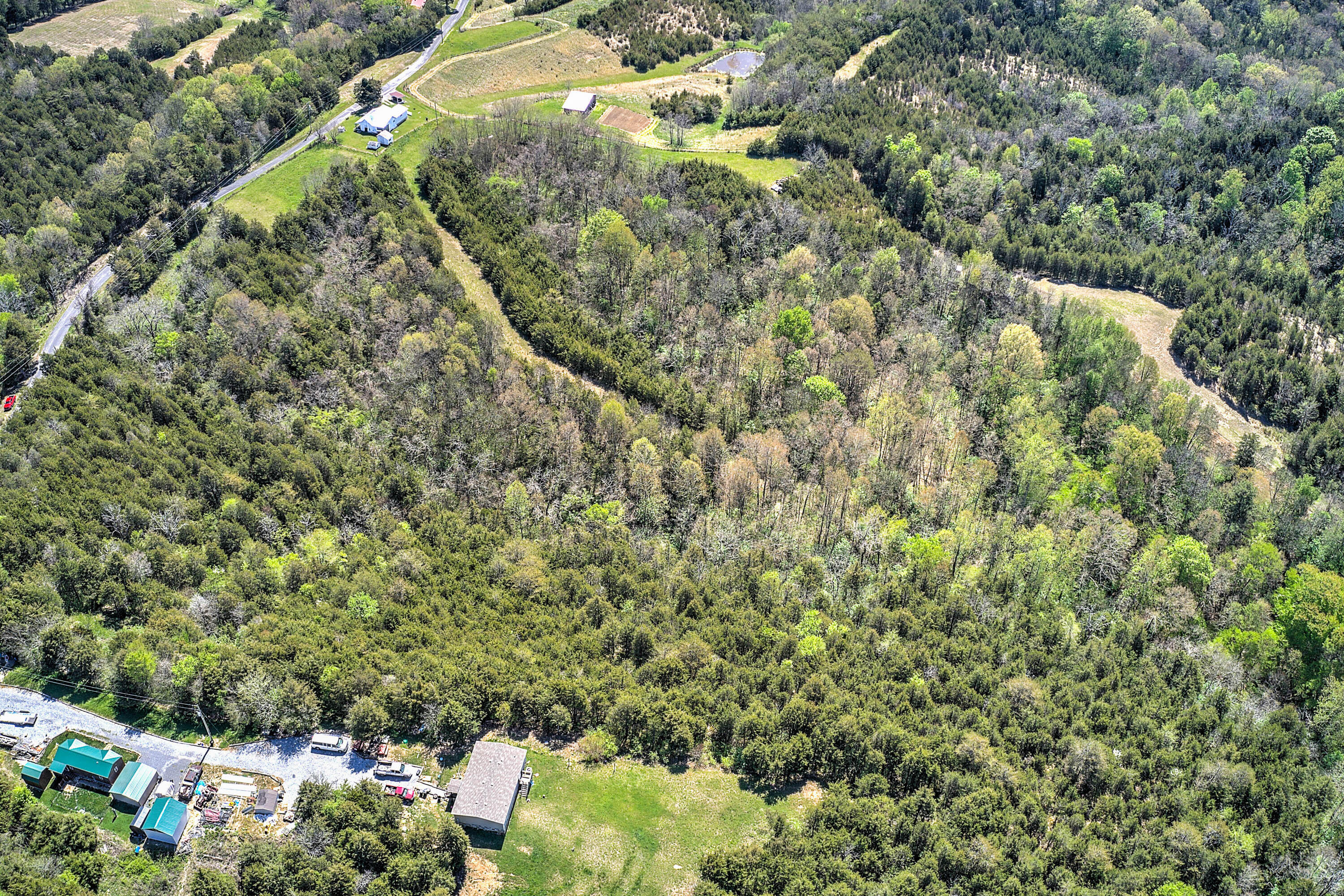 Blue Springs Rd-4