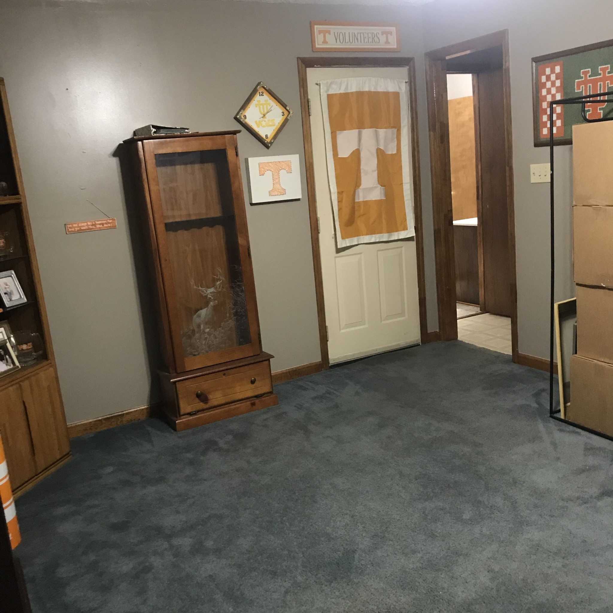 6830 Hester Road Springfield, TN 37172 - Photo 24 of 28 an empty room with closet and mirror