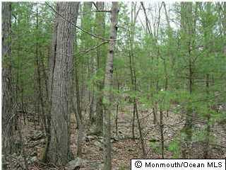 5232 Megill Road Farmingdale, NJ 07727 - Photo 1 of 7 Primary Photo