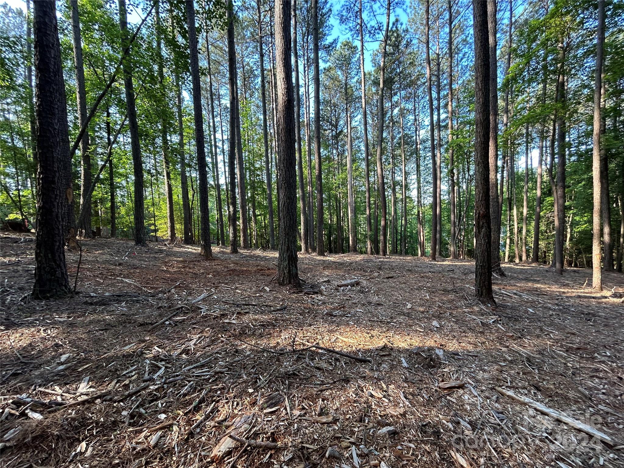 164 Greens Road Granite Falls, NC 28630 - Photo 7 of 25 Gallery Image 7